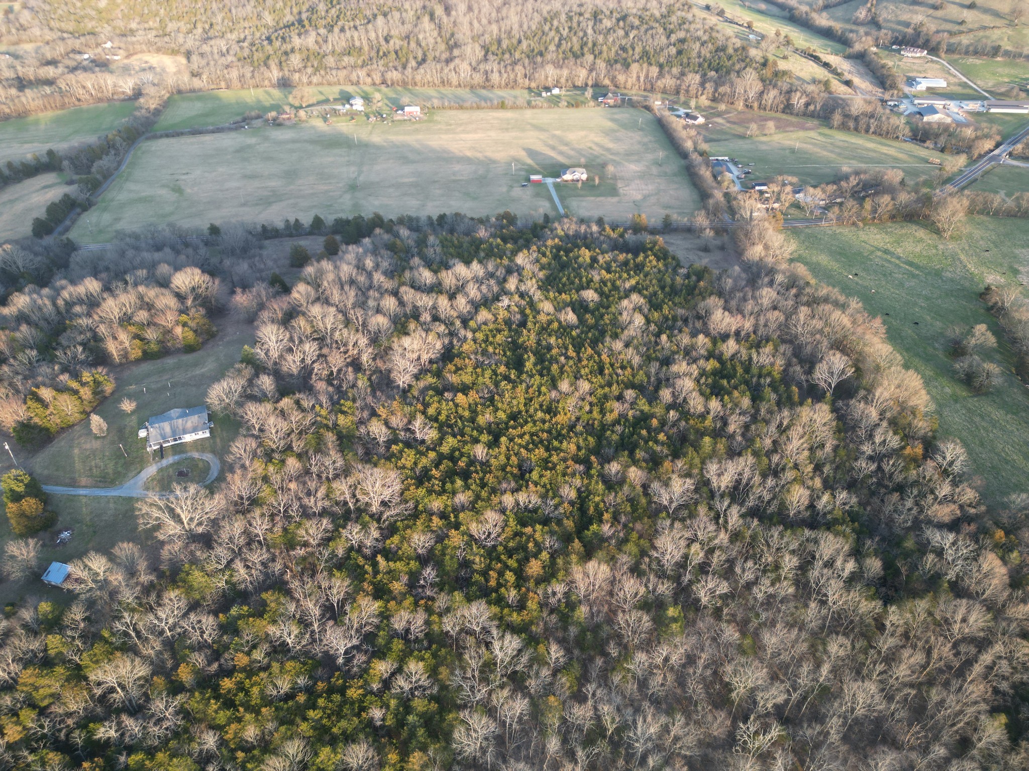 227 Hamilton Ln