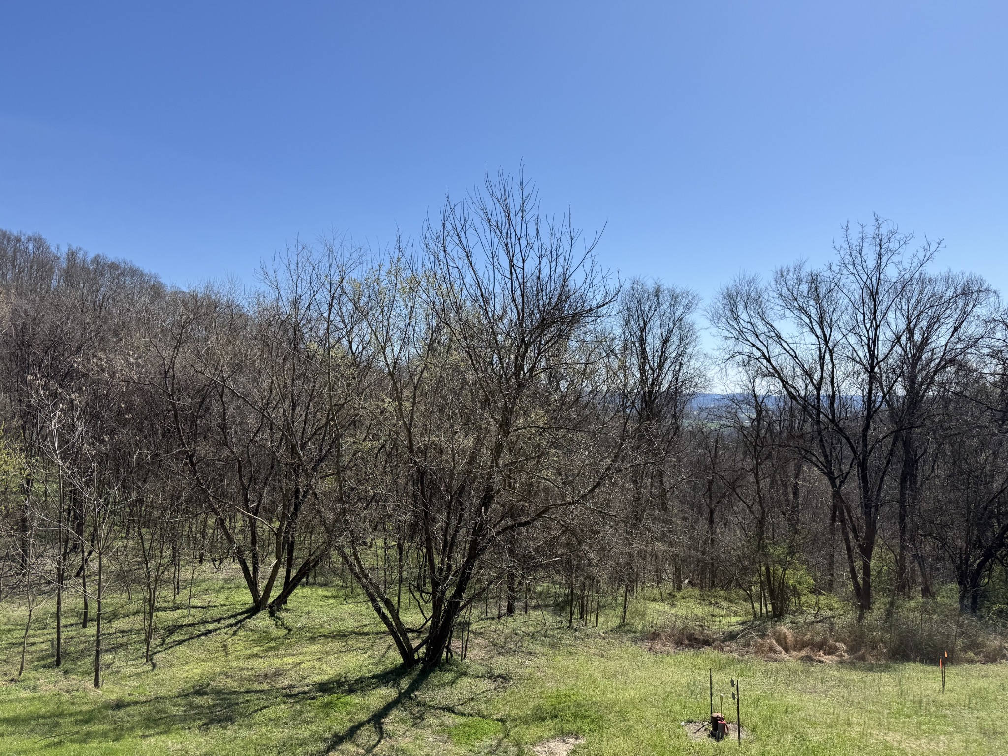 0 Ed Seay Gregory Lane