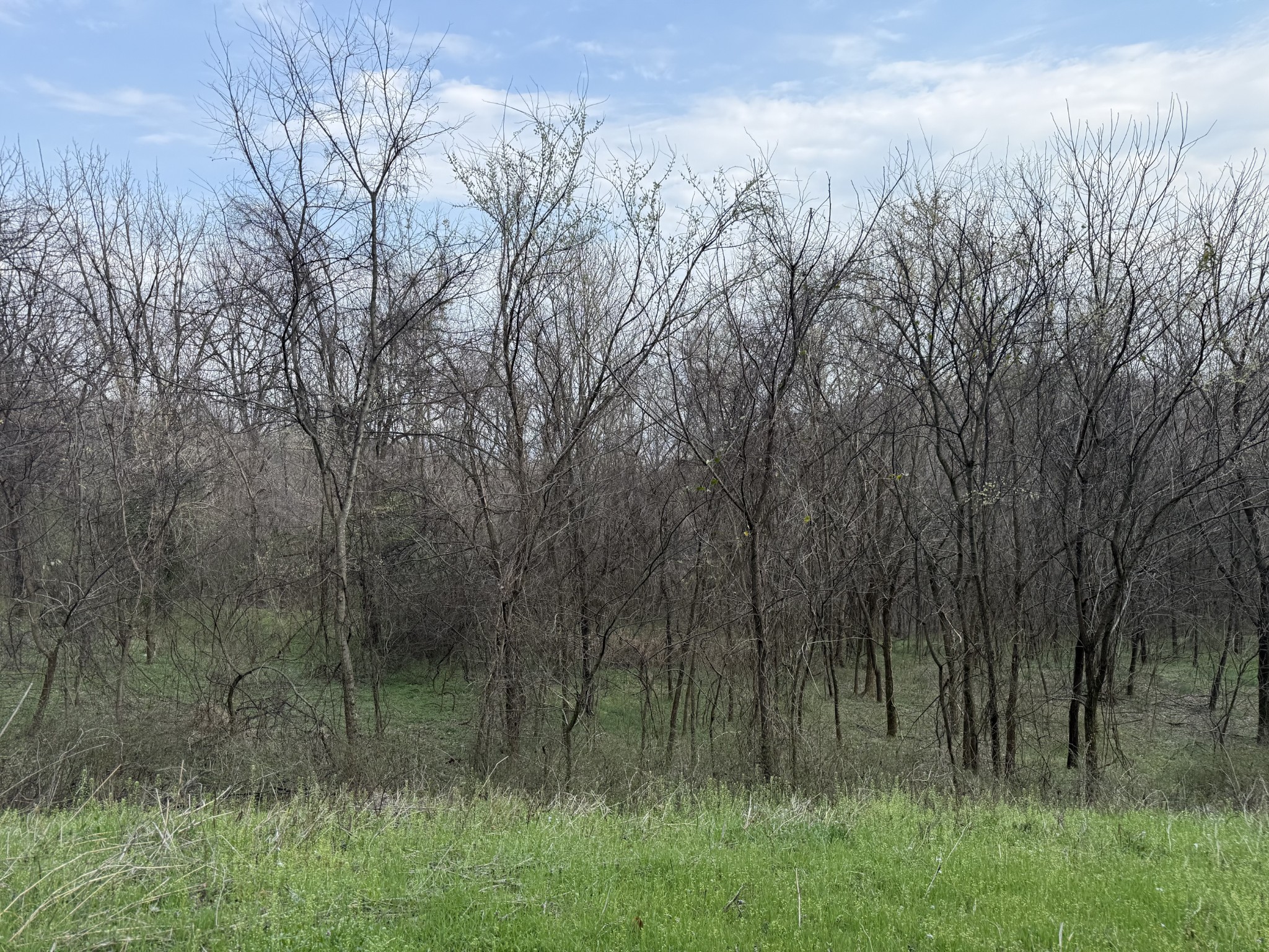 0 Ed Seay Gregory Lane