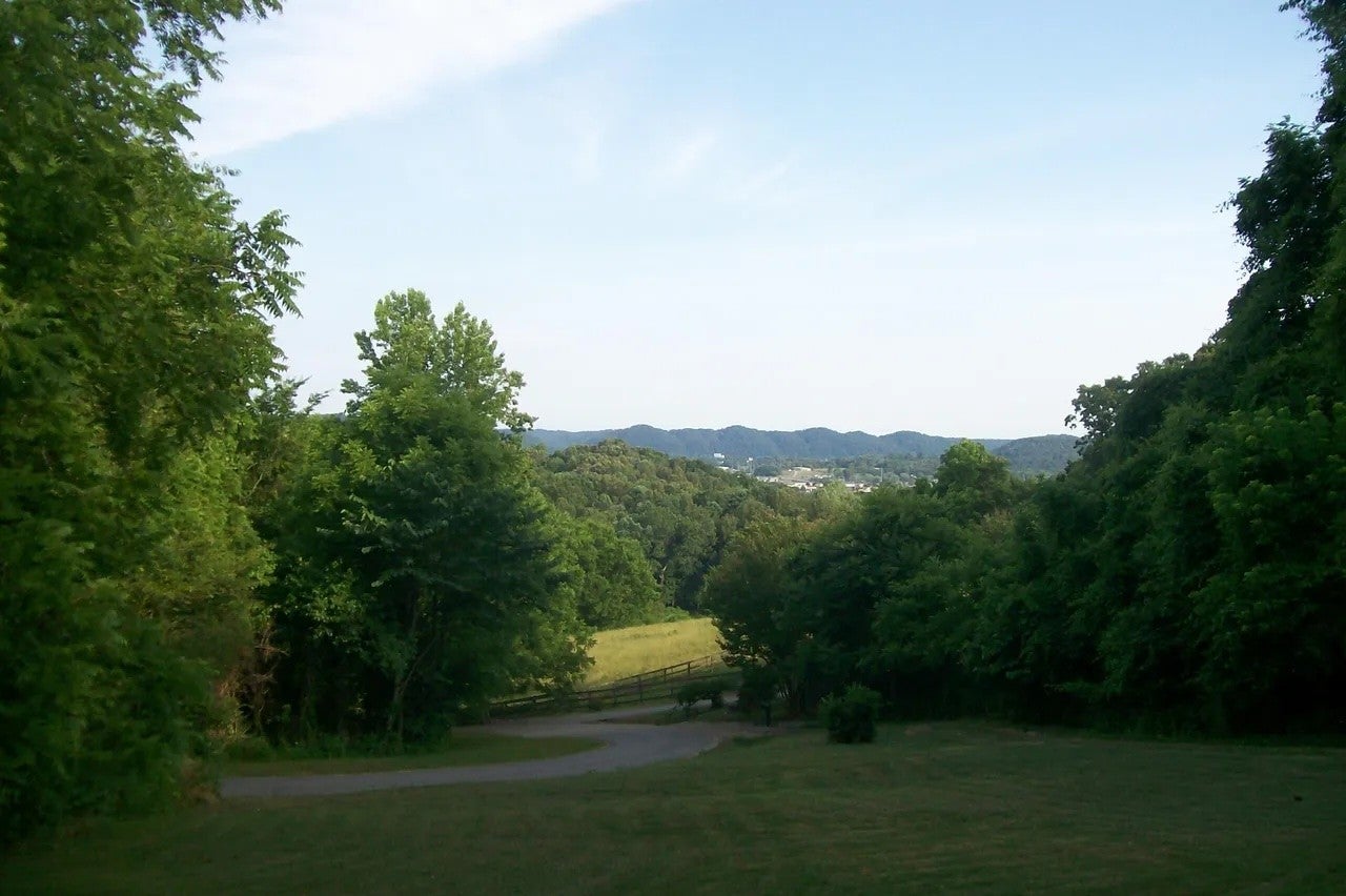 441 Lewallen Hollow Ln