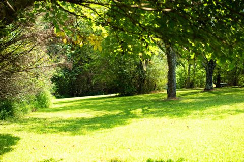 0 Mannin Rd Leoma TN 38468