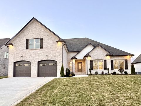 390 Young Ln Pleasant View TN 37146