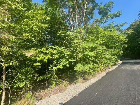 617 N Pointe Trl Allons TN 38541