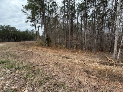 1A Bartlett Rd Reagan TN 38368