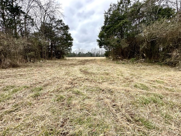 1138 Coleman Rd