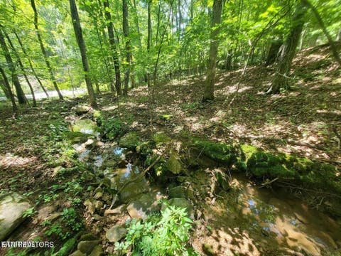 Photo of 0 Sugarbush Circle, Crossville, TN 38558 (MLS # 3512953)