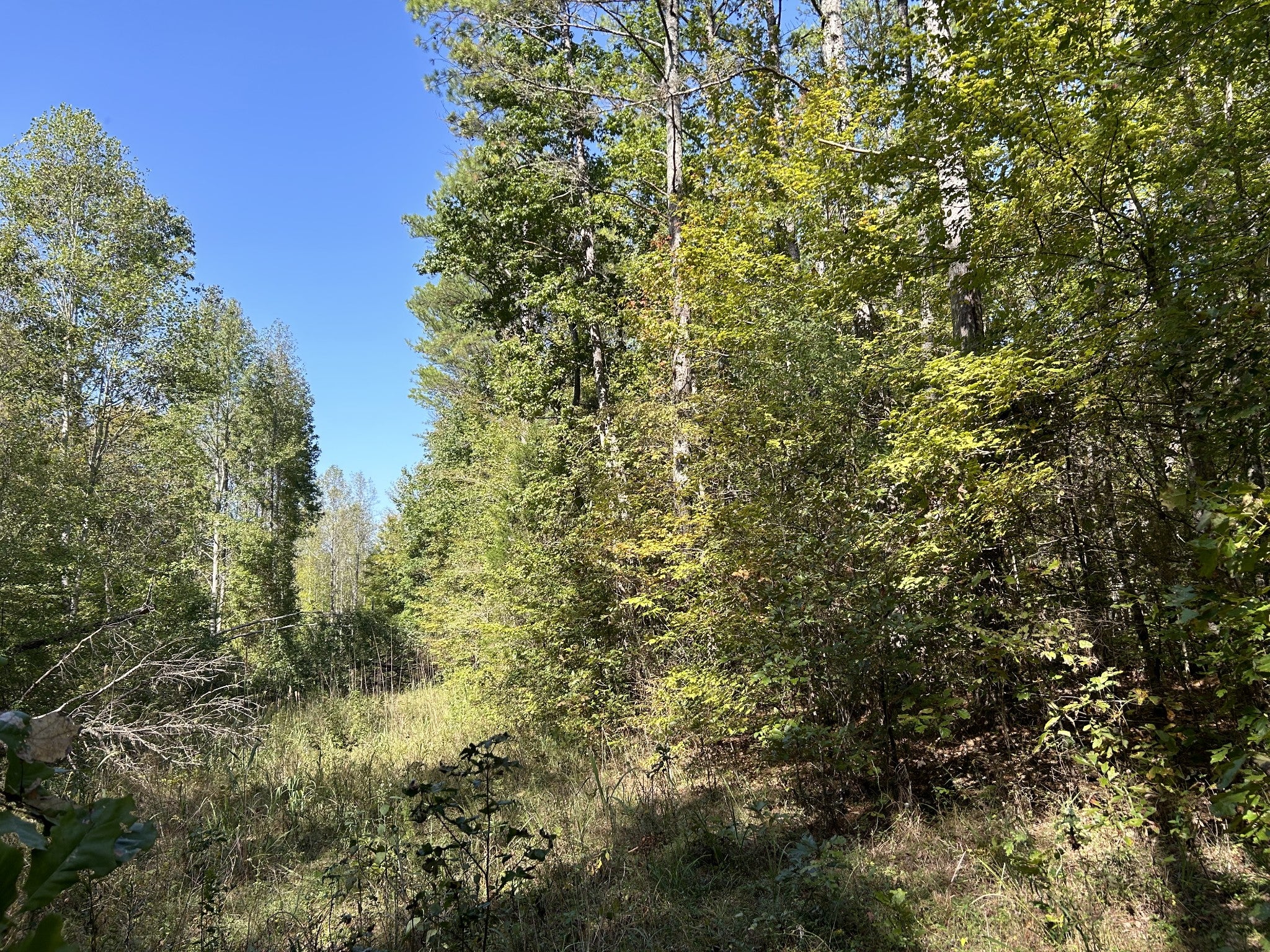 0 Camp Rd