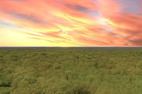 138 Vaughn Rd Charlotte TN 37036