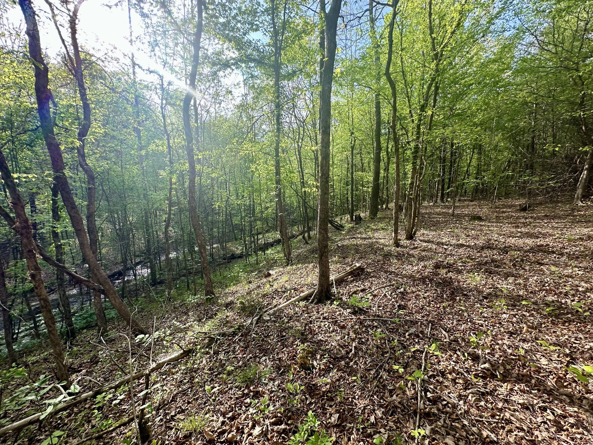 828 McCord Hollow Rd