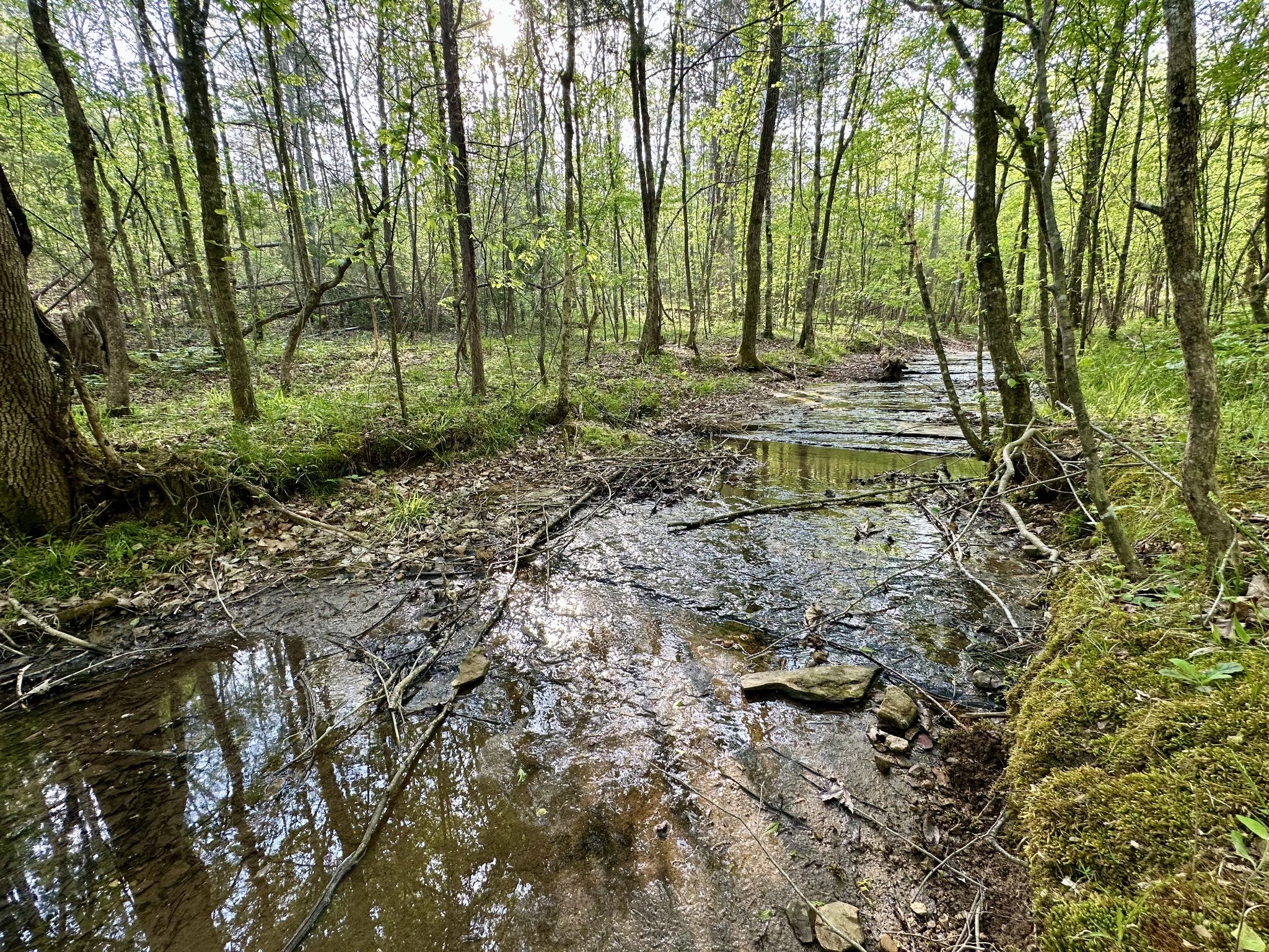 828 McCord Hollow Rd