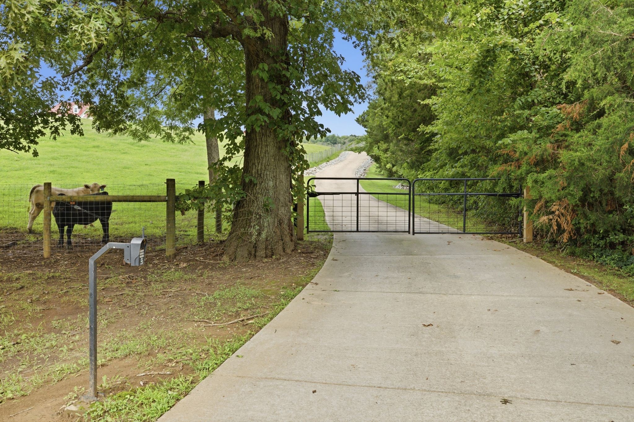 7595 Nolensville Rd