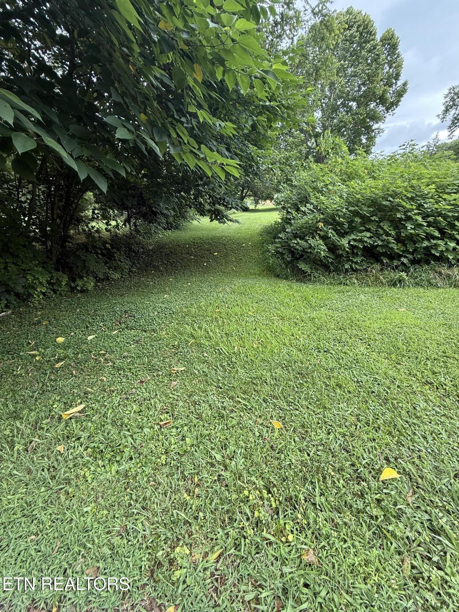 0 Georgia Lane