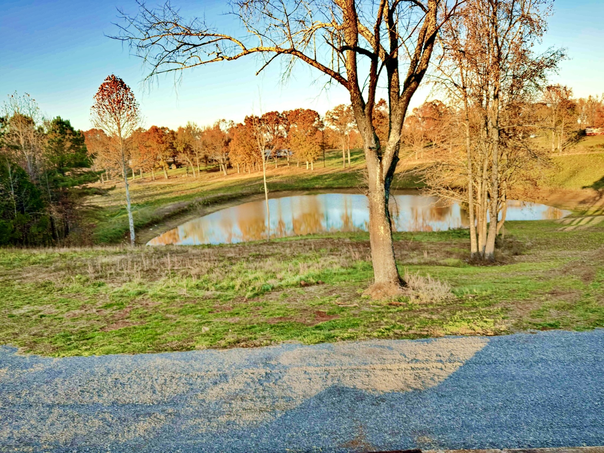 9461 Short Mountain Rd