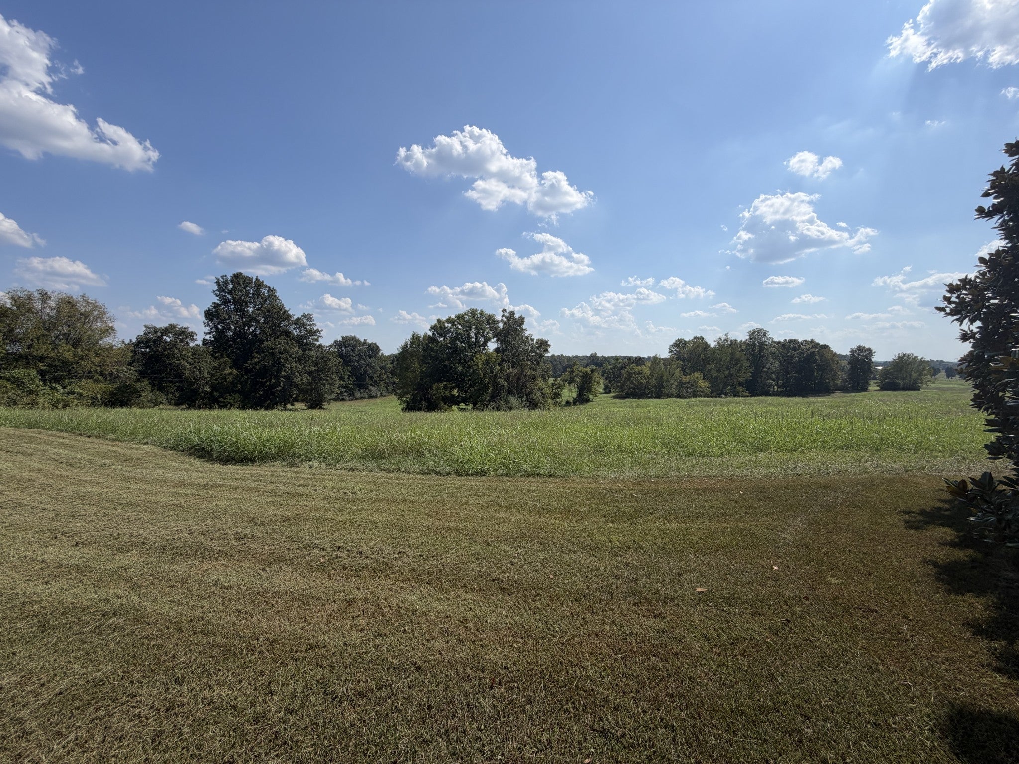 314 Fairview Rd