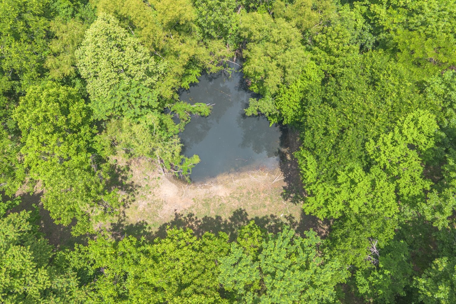 402 Cortner Hollow Rd