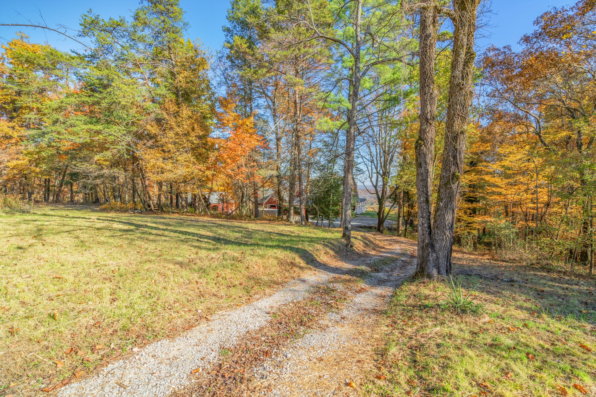 692 Possum Trot Rd