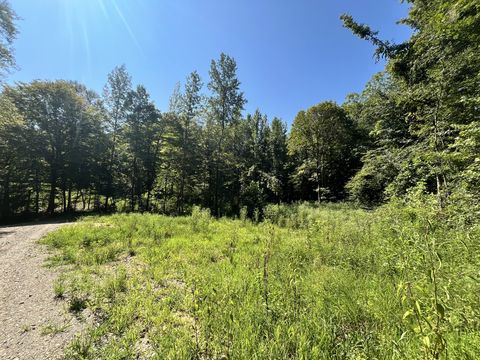 0 Big Sink Road McMinnville TN 37110