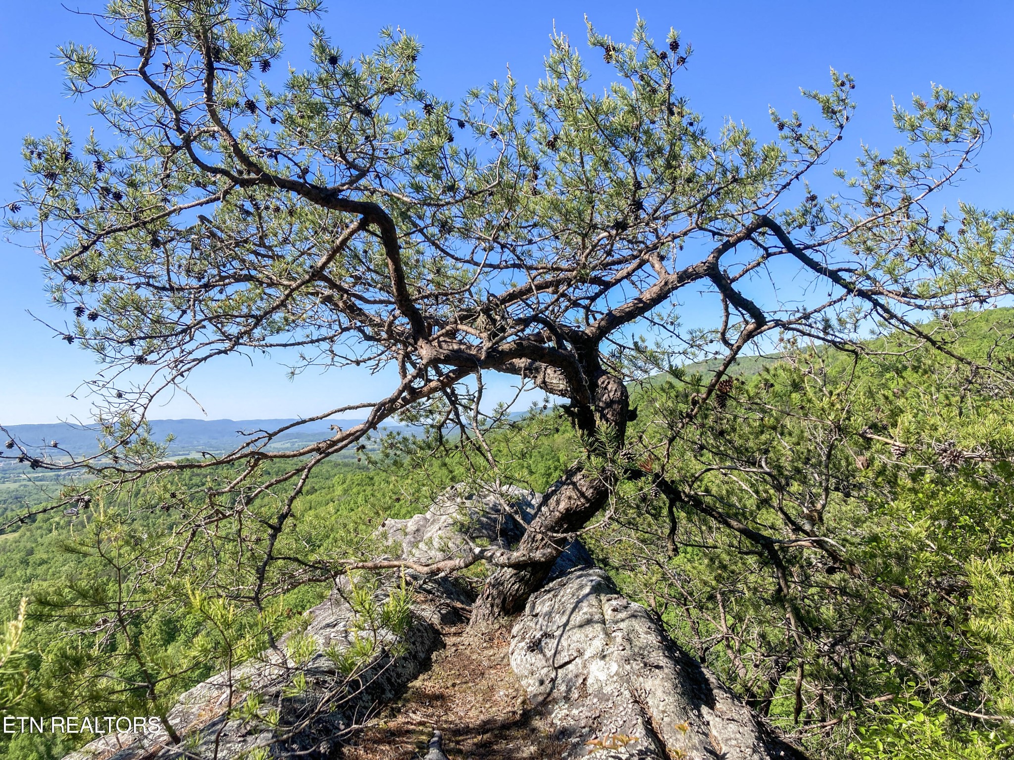 0 Old Spencer Road - 198 Acres