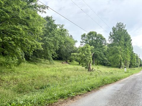 3459 Ella West Cir Lynnville TN 38472