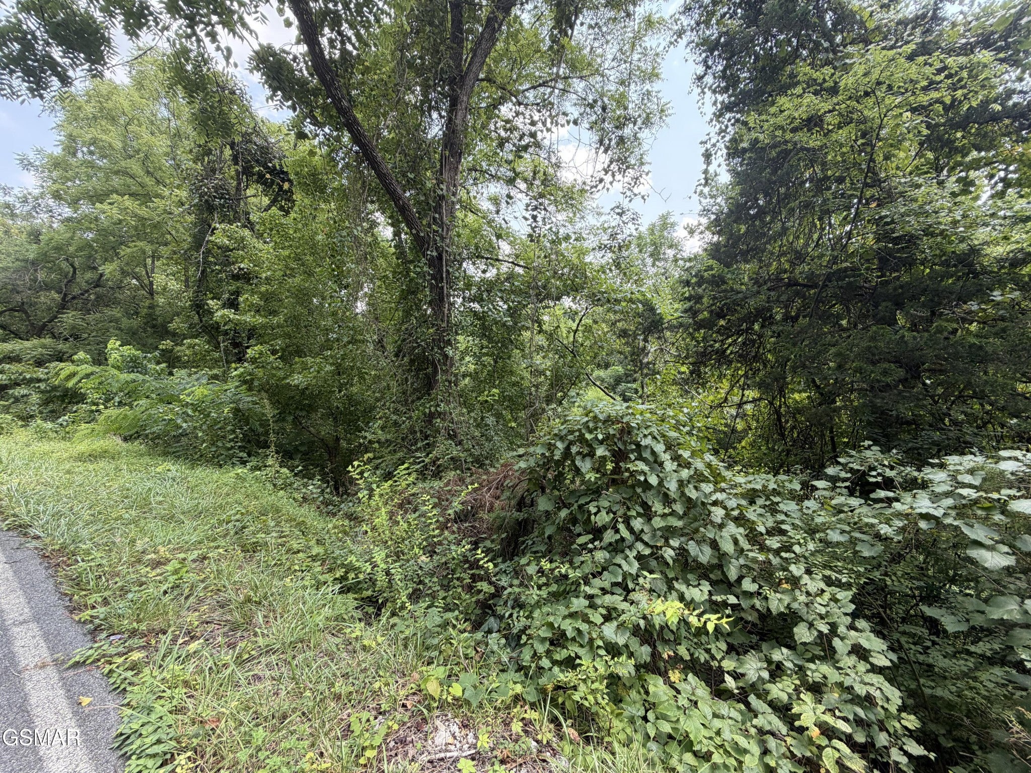 1059 Kellum Creek Road