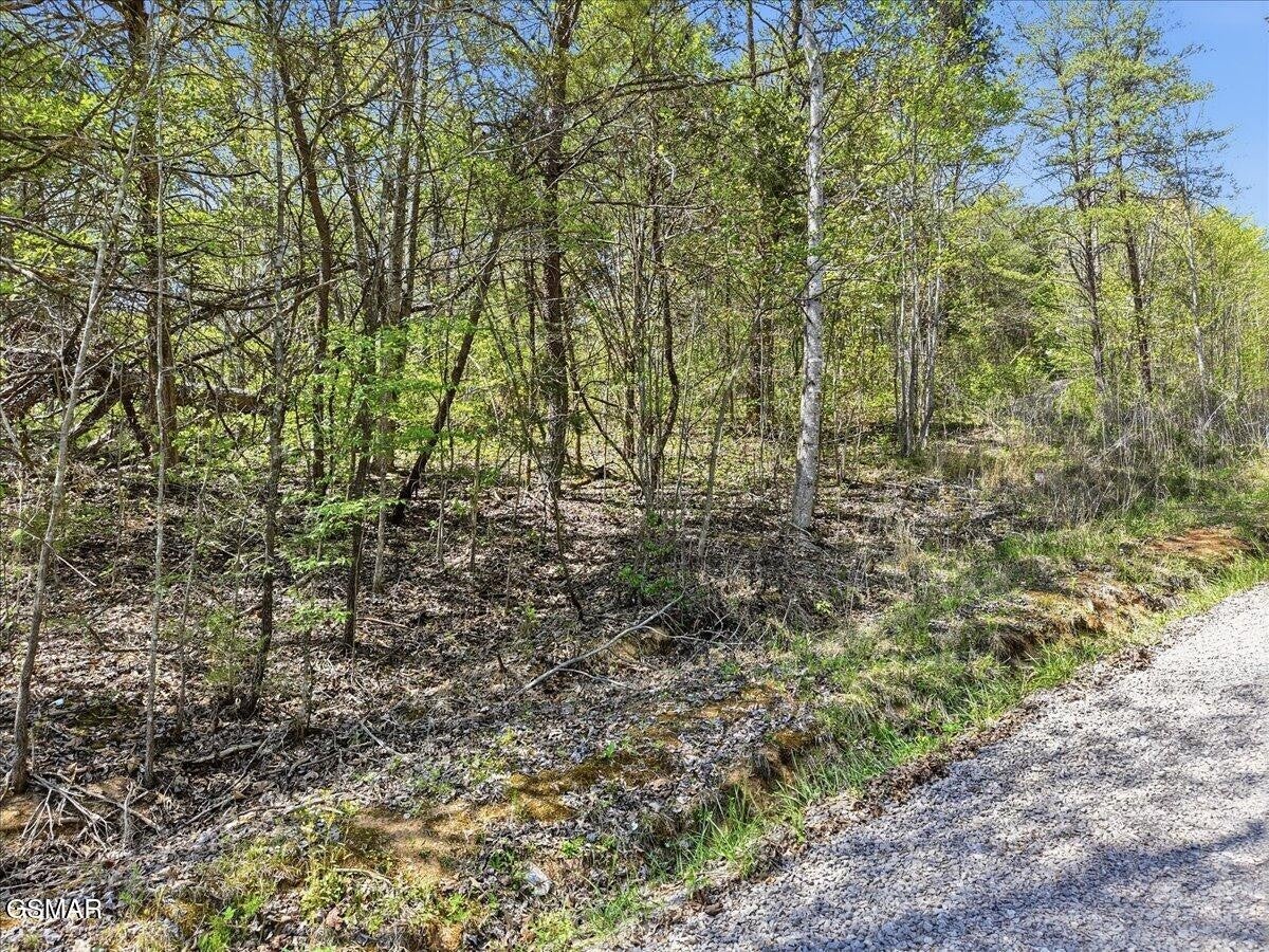 0 Dark Hollow Road