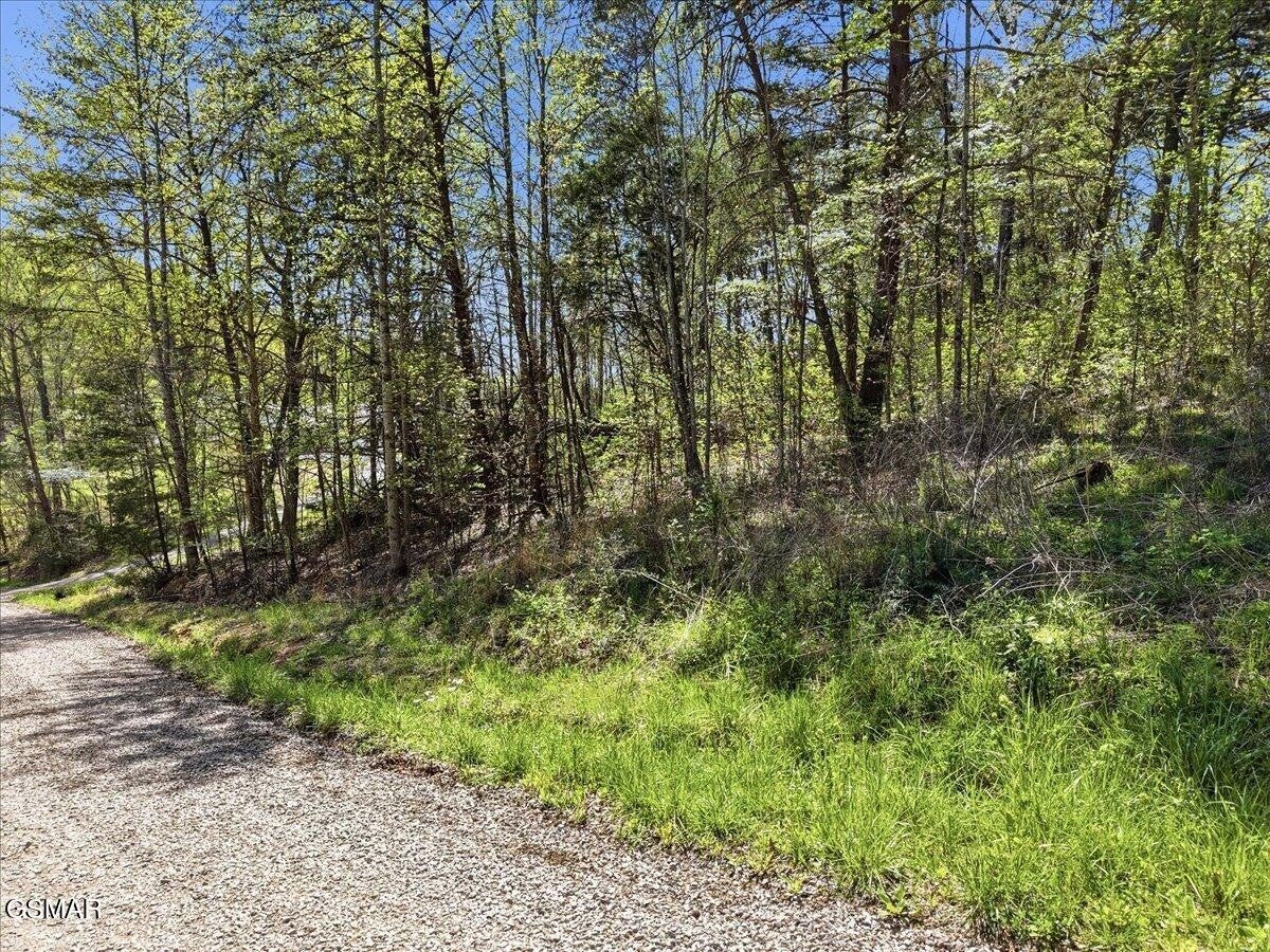 0 Dark Hollow Road