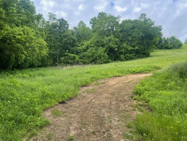 Photo 1 of 32 — 0 HILLTOP ROAD, Shelbyville, TN 37160