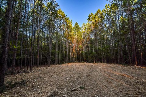 Photo of 0 Brush Creek Rd, Hohenwald, TN 38462 (MLS # 3001894)