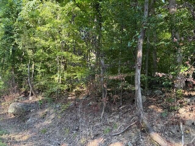 13 Mullins Cove Road