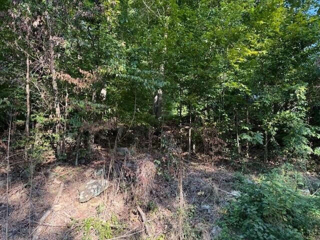 13 Mullins Cove Road