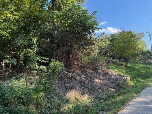13 MULLINS COVE RD, WHITWELL, TN 37397 - Image 3bcf16a4ecf61dd31b02dc09f1f30f8e/670326780