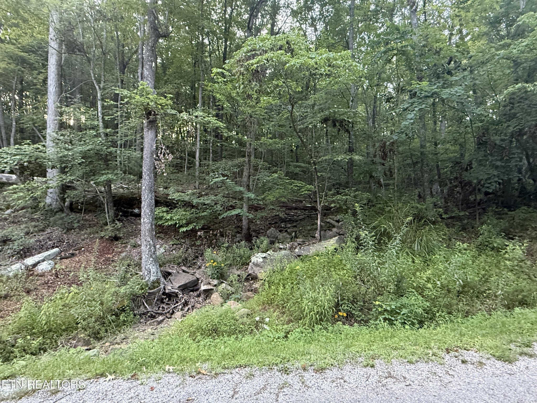 224 Dublin Lane
