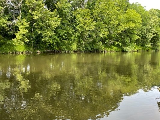 120 3 FORKS BRIDGE RD, SHELBYVILLE, TN 37160 - Image 3bef74bbd375c6a449e3bc32fa63ee5f/3130776669