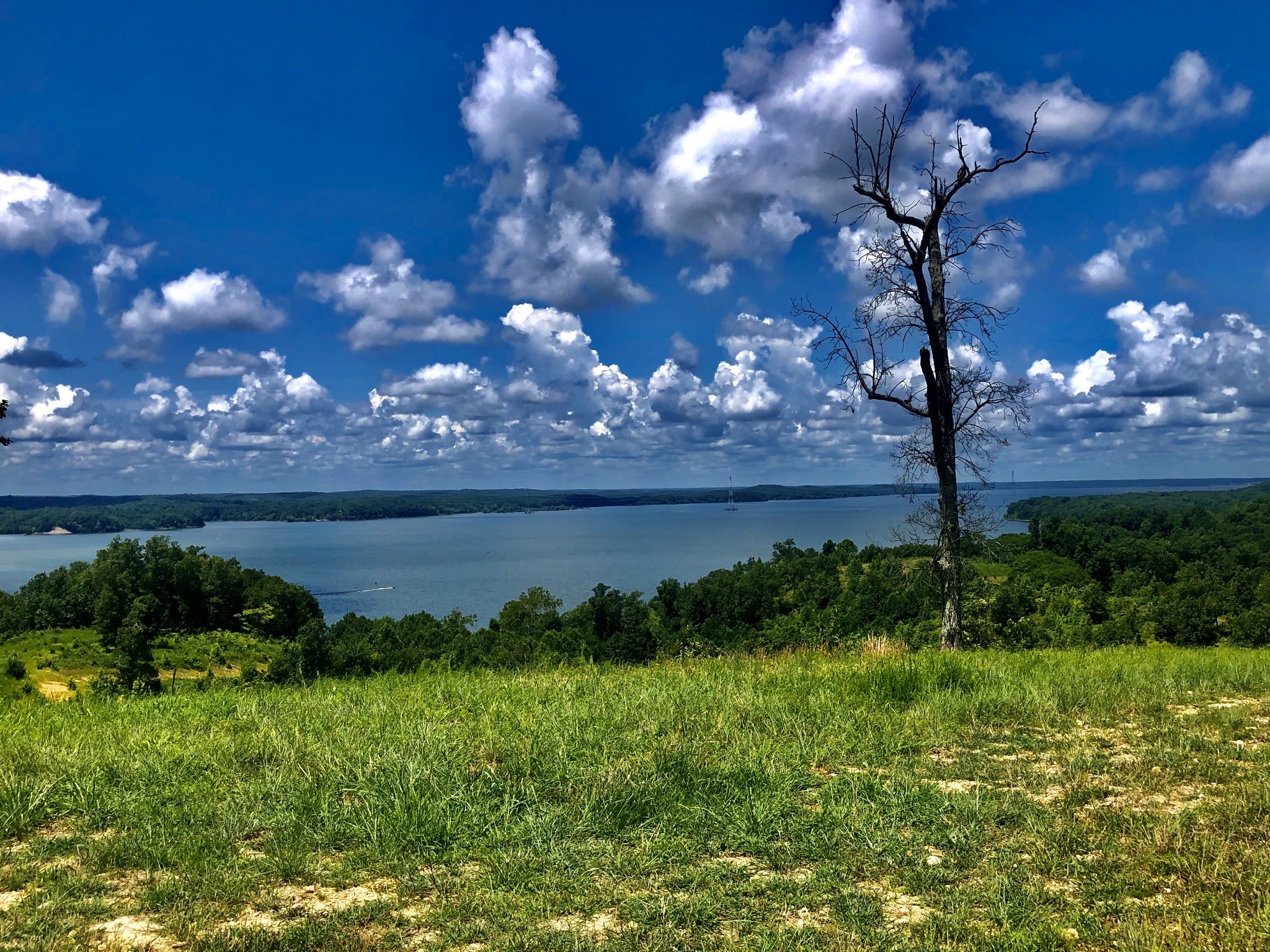 0 Shores Trail
