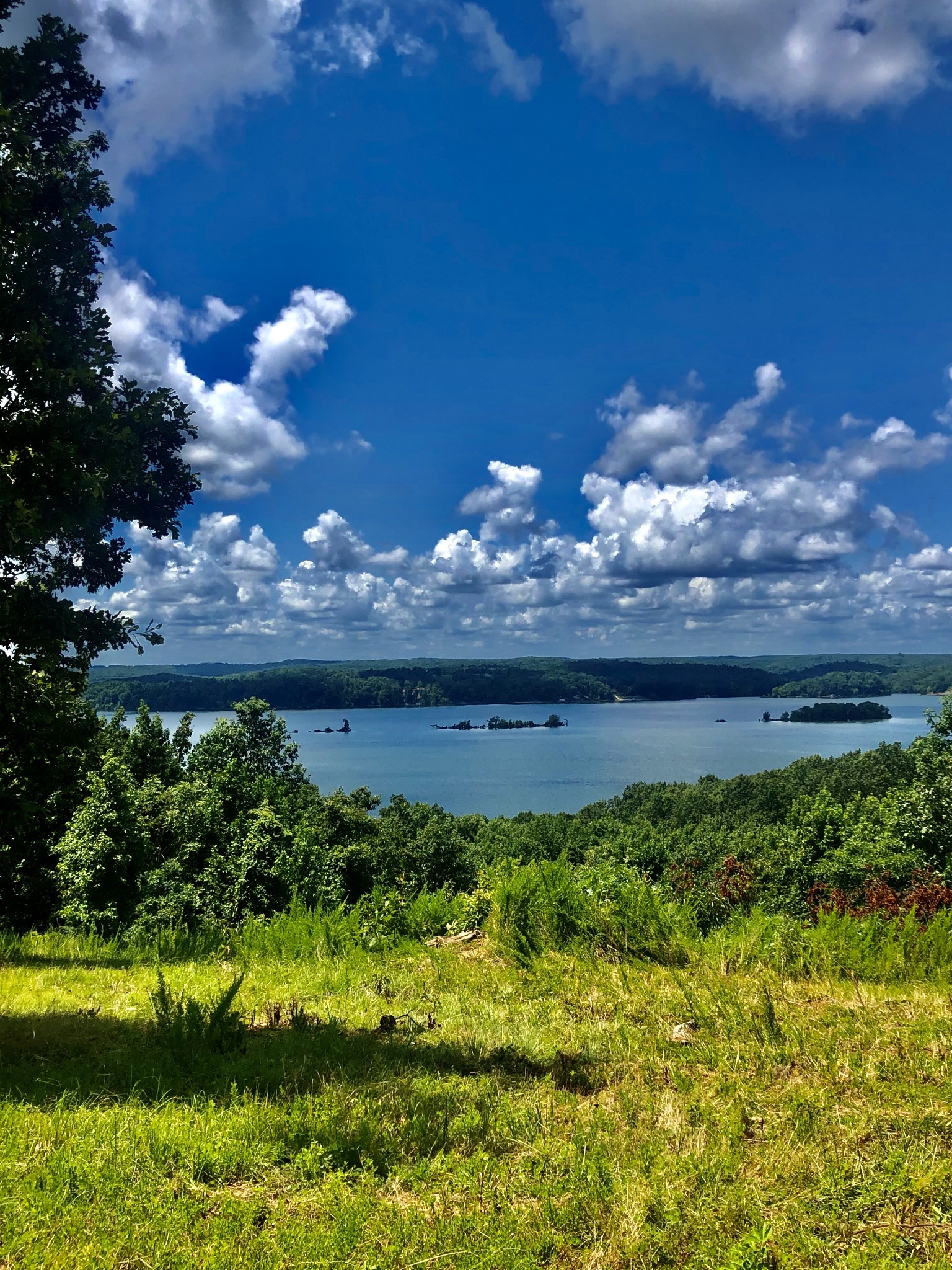0 Shores Trail