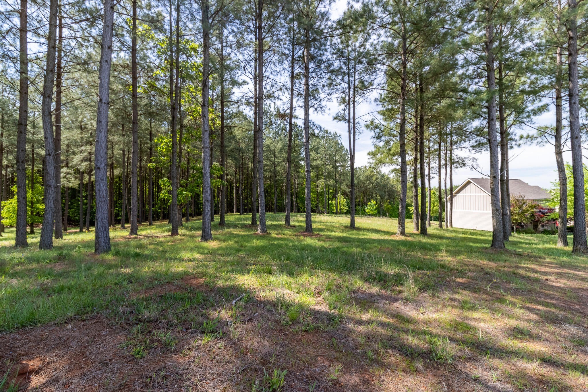 1600 Raulston Falls Road