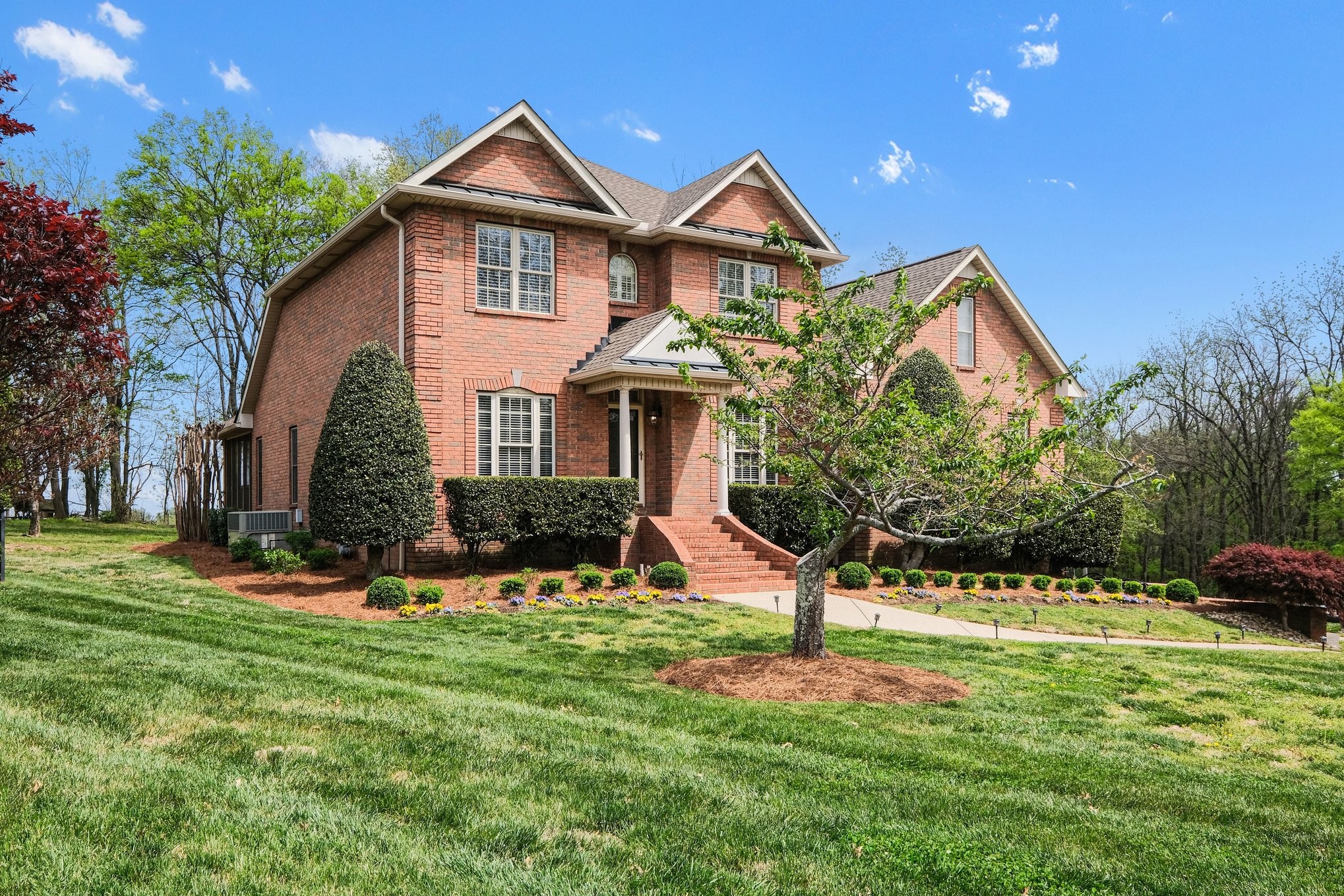 2017 Blue Ribbon Downs