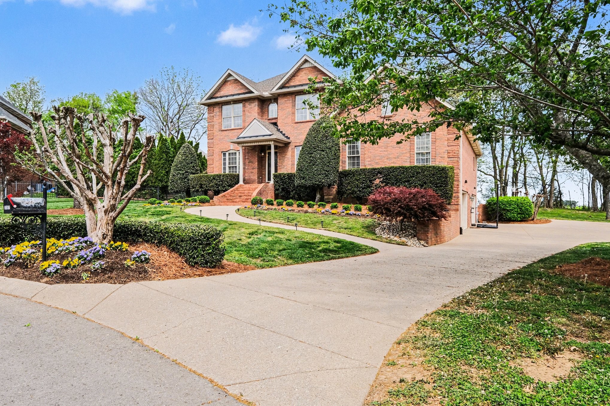 2017 Blue Ribbon Downs