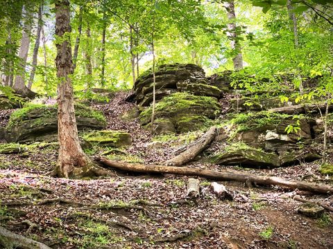 0 Three Island Rd Walling TN 38587