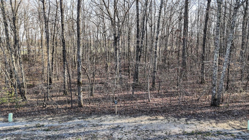 165 Sunset Bluff Way