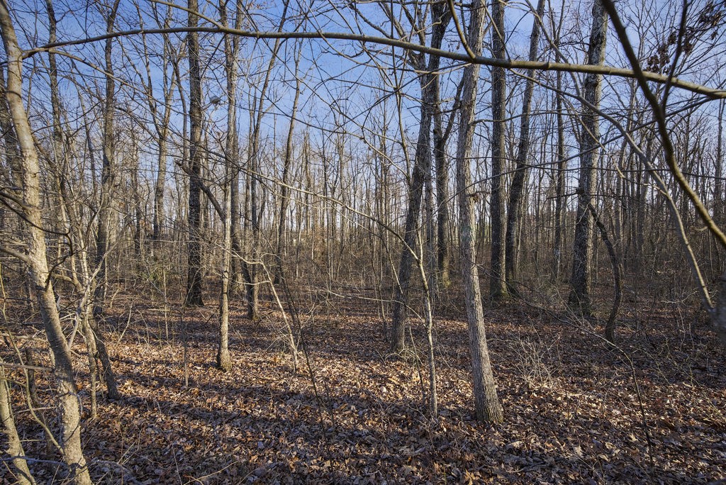 165 Sunset Bluff Way