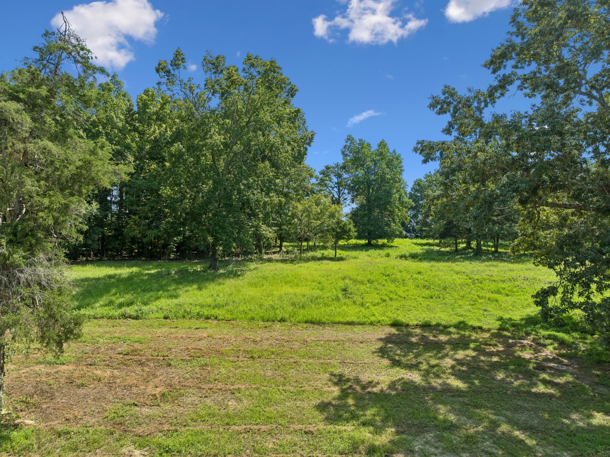 3206 Hunziker Ln
