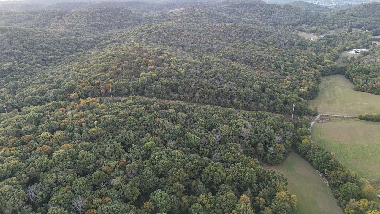 0 Palmore Hollow Lane