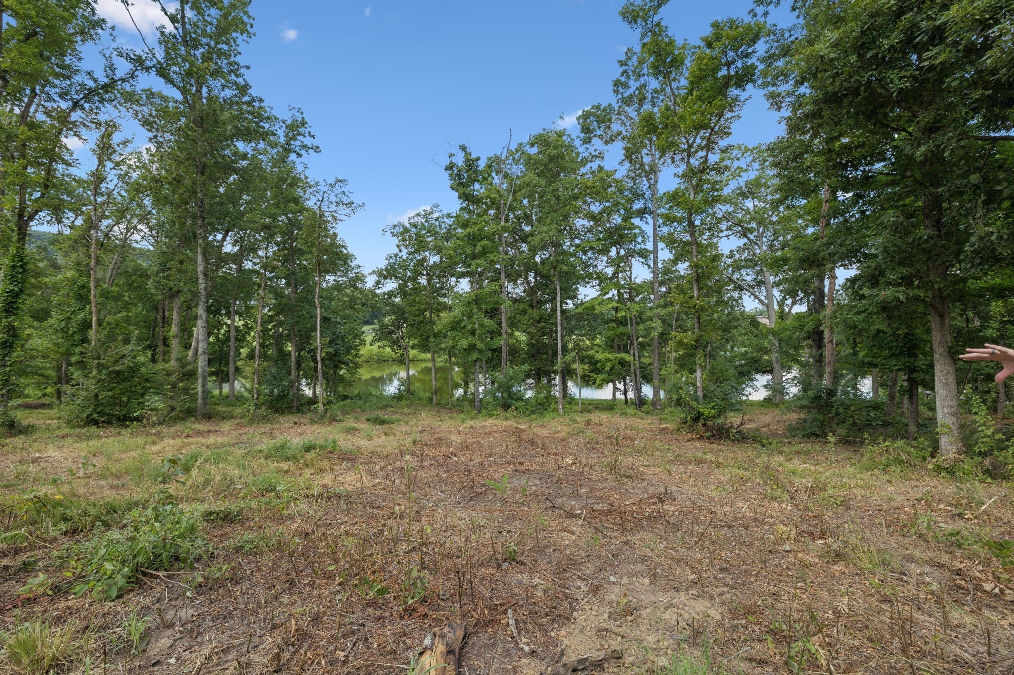 1411 Bell Meadow Ct, Nolensville TN 37135 0-bed lot, photo 4 of 47