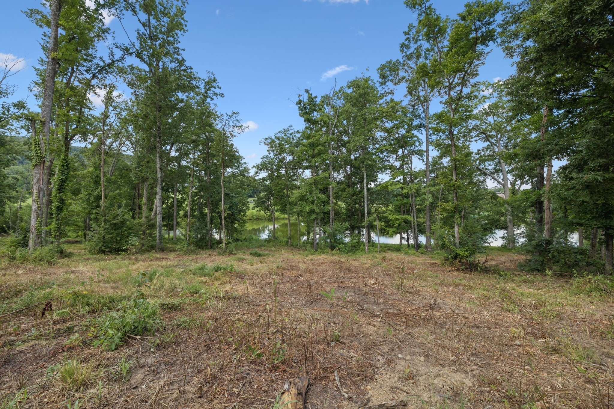 1411 Bell Meadow Ct, Nolensville TN 37135 0-bed lot, photo 5 of 47