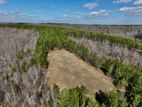 0 Duck River Hurricane Mills TN 37078