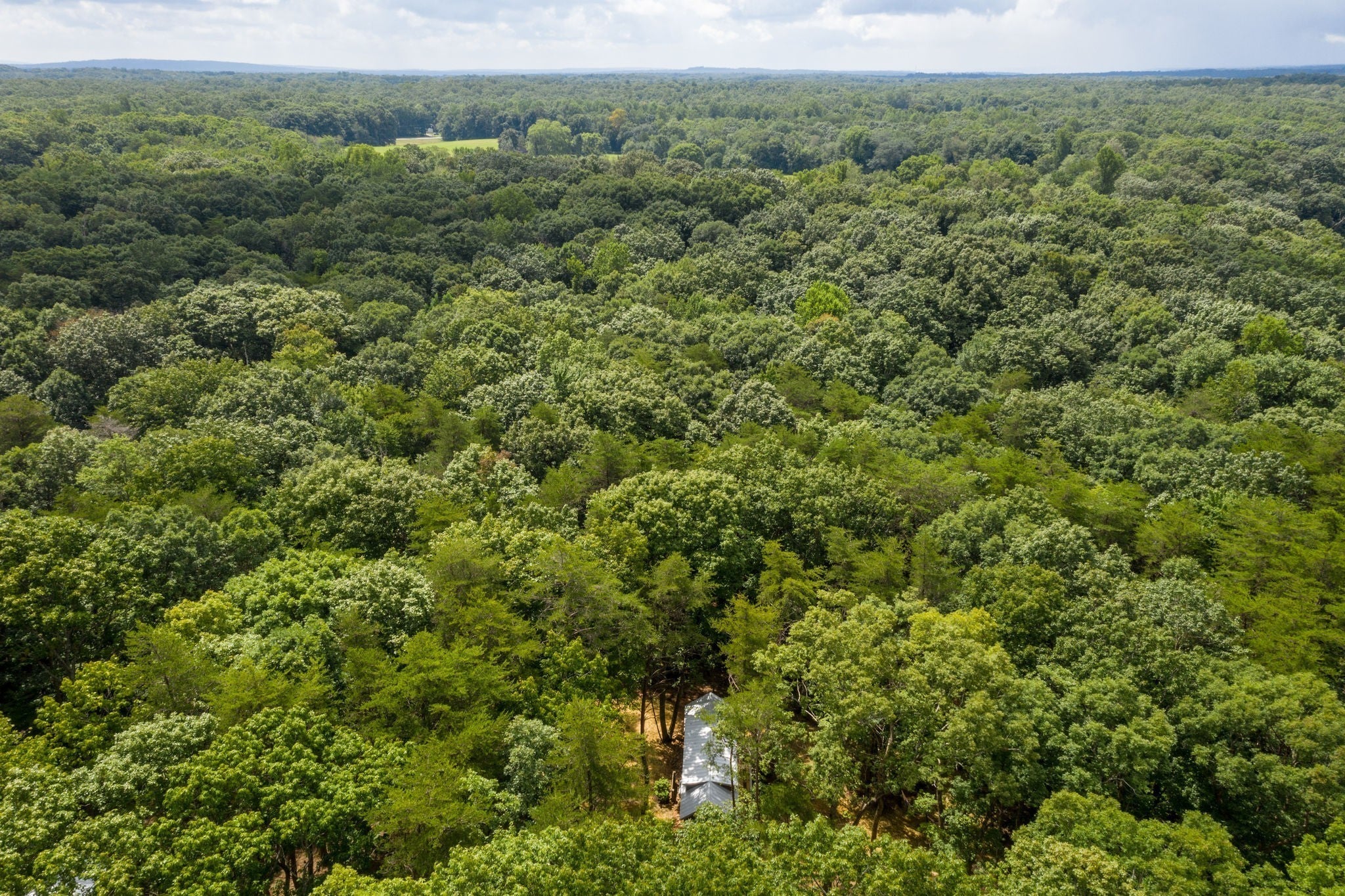 484 Deer Lick Trail