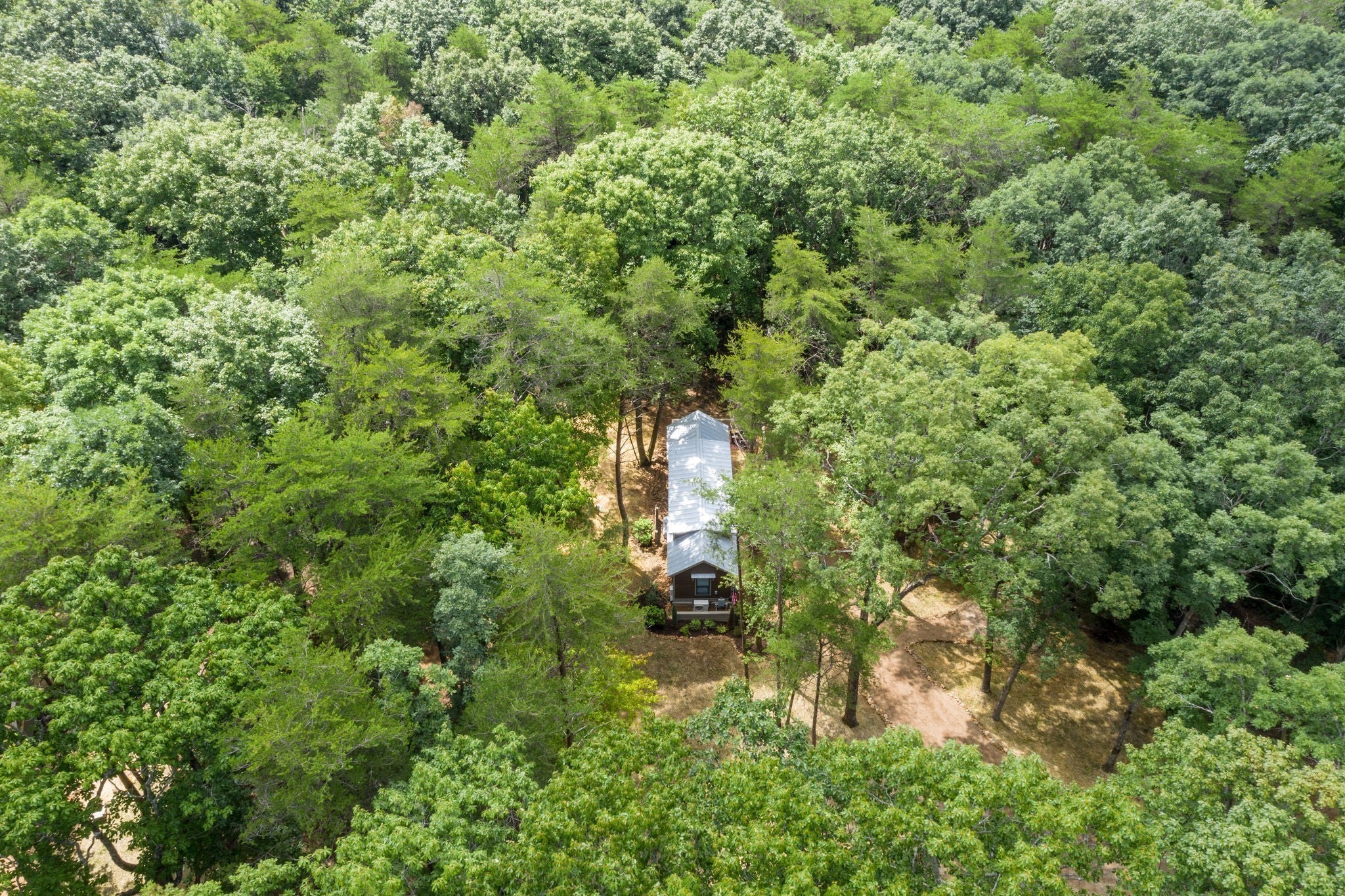 484 Deer Lick Trail