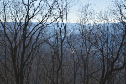 21 Laurel Lake Dr Monteagle TN 37356