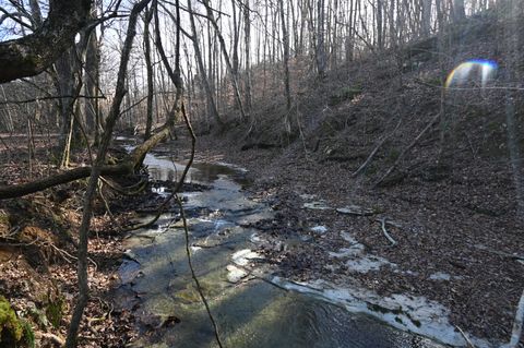 0 Marsh Creek Rd Linden TN 37096